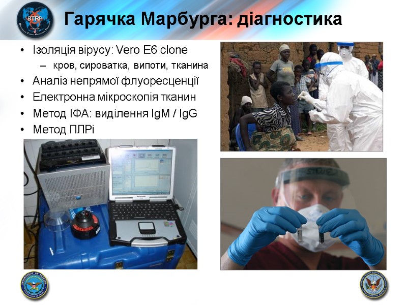 Гарячка Марбурга: діагностика Ізоляція вірусу: Vero E6 clone кров, сироватка, випоти, тканина Аналіз непрямої